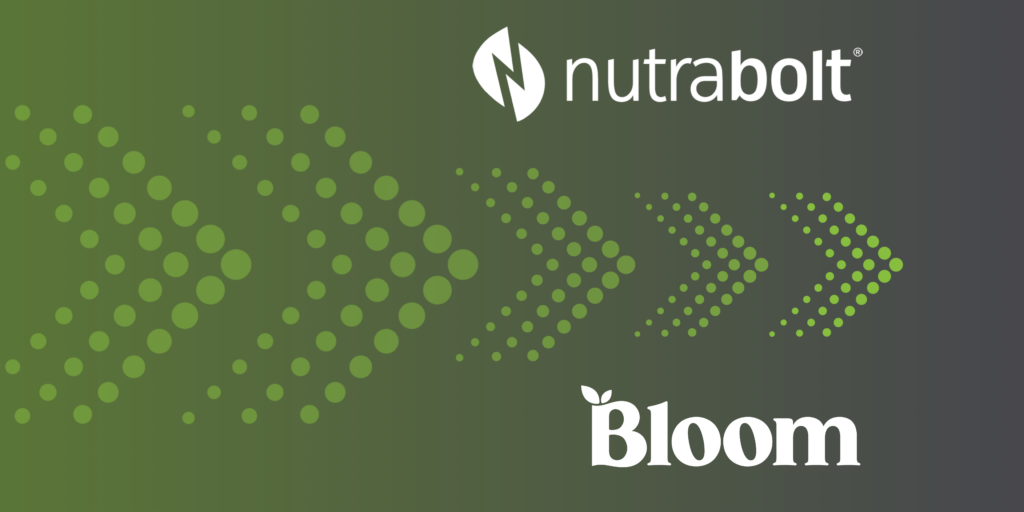 Nutrabolt leads equity investment in Bloom Nutrition expanding active